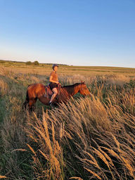 Wanderreiten Sternritte Tagesritte Reiturlaub Reiterferien rajdy konne Lubelskie horseback riding