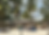 Beach Bar & Restaurant