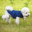 Thumbnail: Dog's Winter Warm Vest