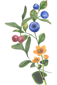 Pynt høyre side.png