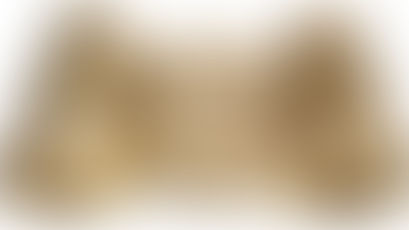 私の霊感論―翻訳聖書の視点から―