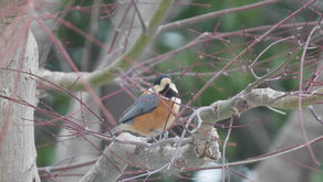 創造の回復 PDFシリーズ