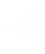white icon no background.png