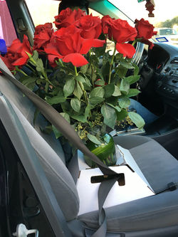 Valentine's Day 2017