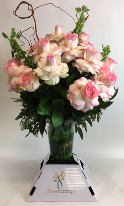 Beautiful pink roses
