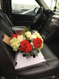 Valentine's Day 2017