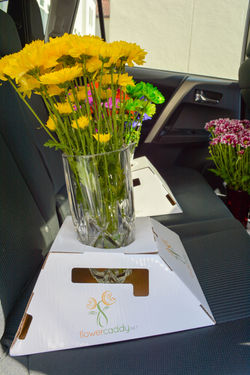 Multiple arrangements in backseat
