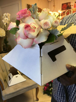 Valentine's Day 2017