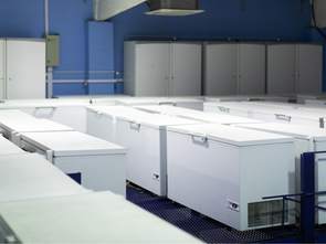 ¿Qué es la Cadena de Frío?: Garantizando la Calidad y Seguridad en la Logística de Alimentos