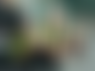 Los Desafíos y Oportunidades del Nearshoring en México: Un Análisis desde la Logística y la Energía