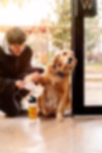 Juniper Clean Pet Wet Wipes Private Label Pet Wet Wipes Manufacturers