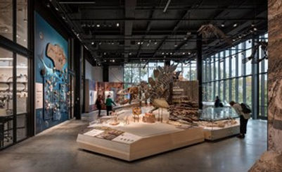 Burke Museum of Natural History and Culture