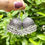 Thumbnail: Niya oxidised jhumki