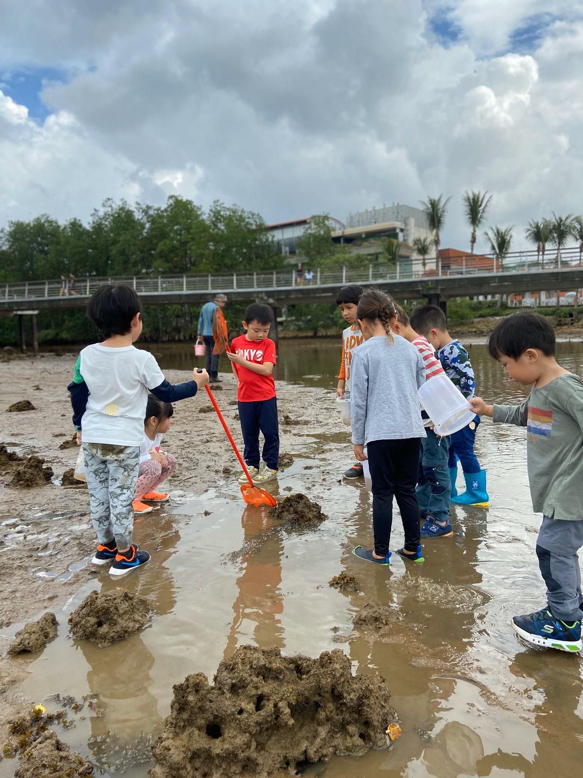 Exploring the intertidal mud flats