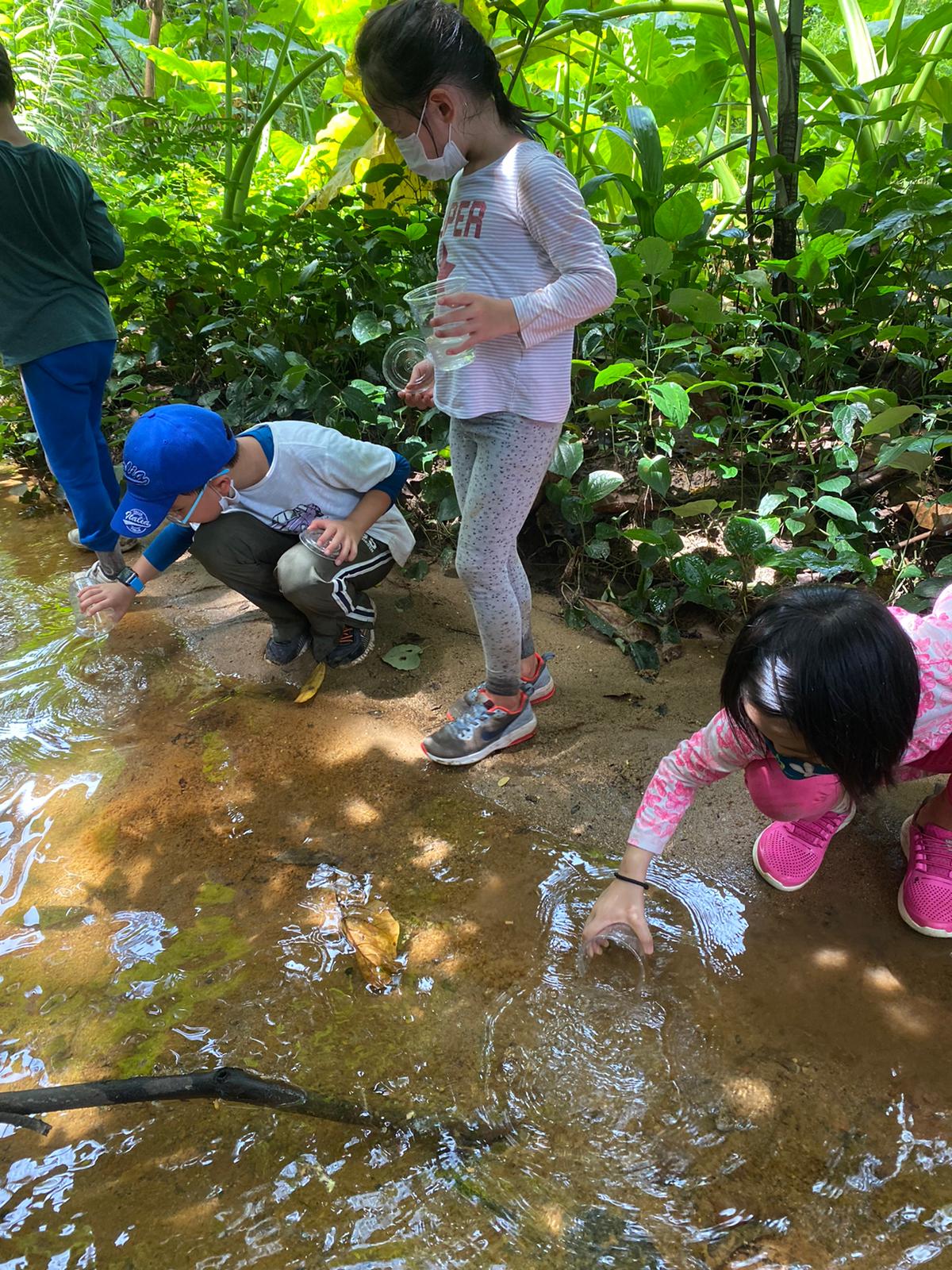 Exploring natural streams