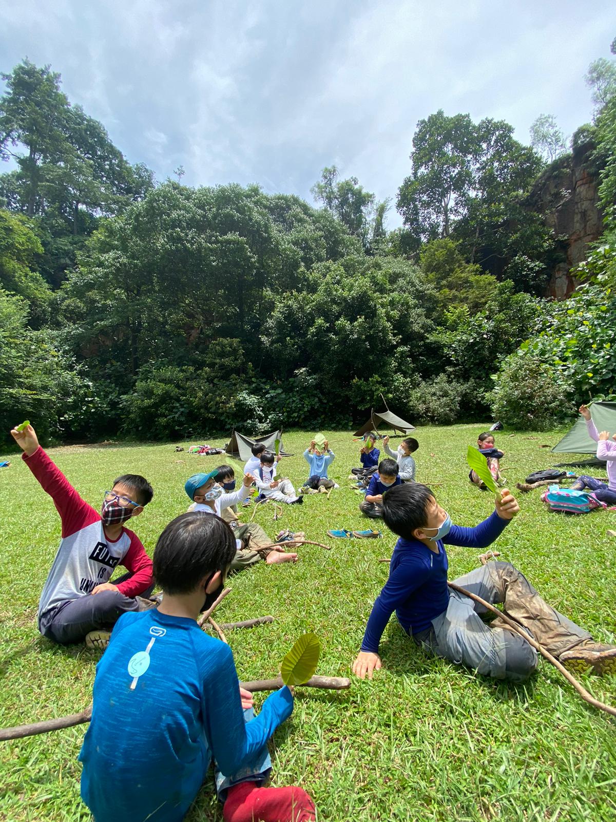 Forest bathing