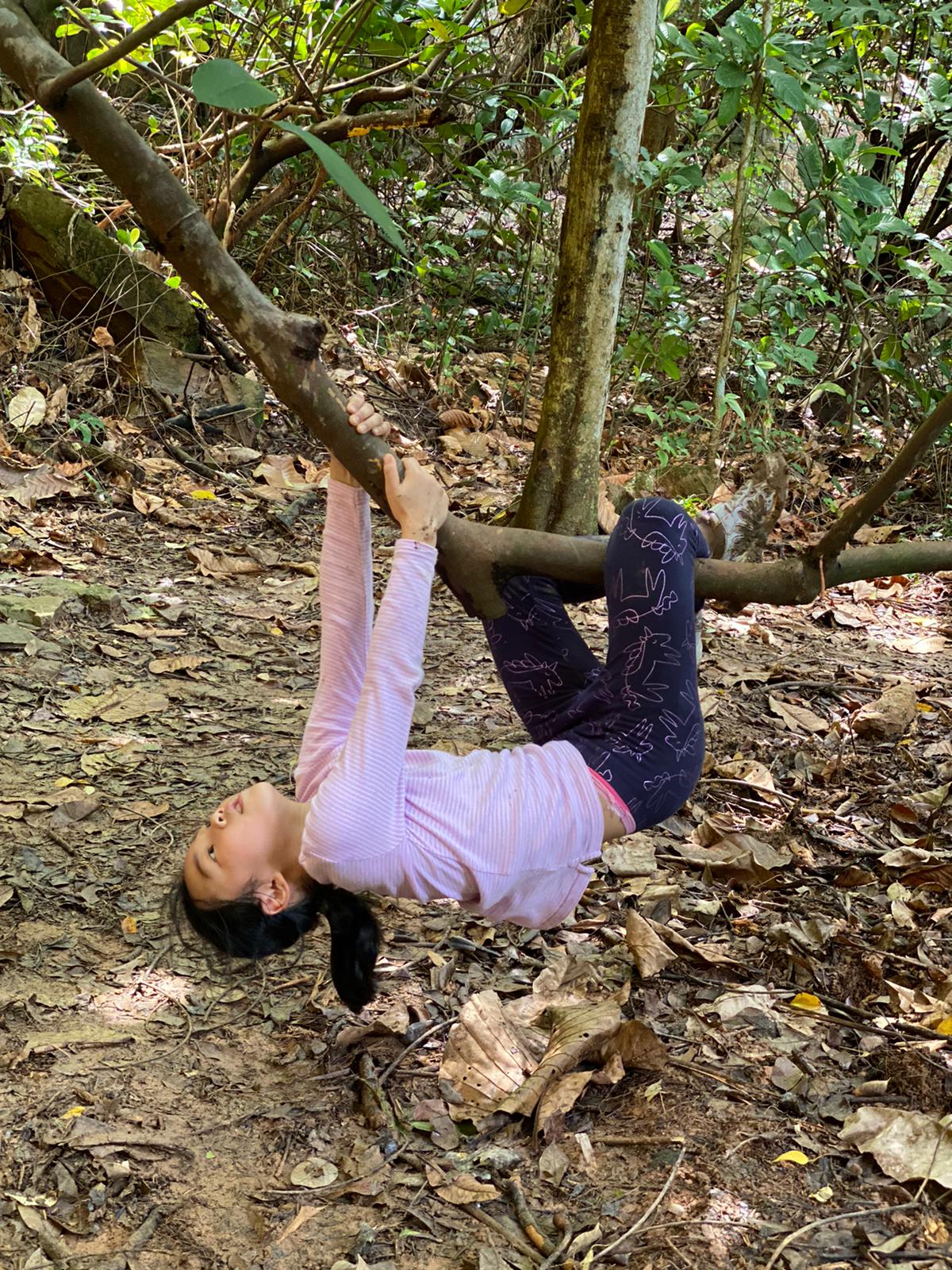 Tree climbing