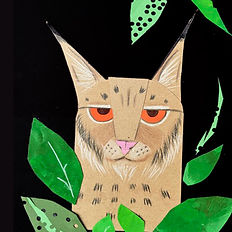 larger picture of cat collage