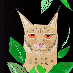 larger picture of cat collage