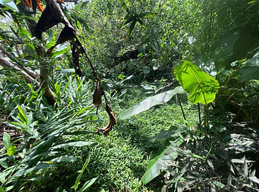 WhatsApp Image 2026-01-12 at 11.19.54 (3).jpeg