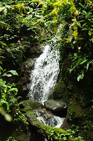 IMAGE 2026-01-25 17:00:00.jpg