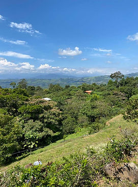 WhatsApp Image 2026-01-12 at 11.19.54 (2).jpeg