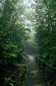 IMAGE 2026-01-25 16:52:46.jpg