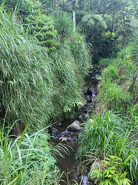 WhatsApp Image 2026-01-12 at 11.19.52 (1).jpeg