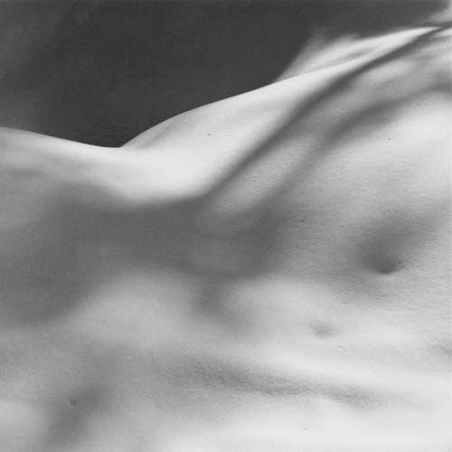 neige1700039720191012102907_001.jpg