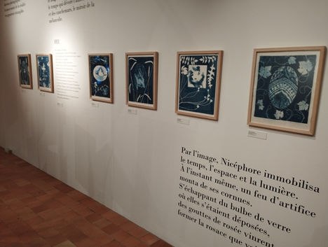 Galerie des cyanotypes