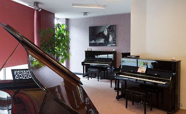 Winkel Piano's Driesen