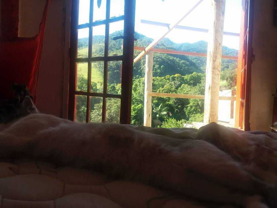 hostel da alegria 2