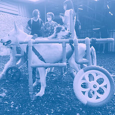 未命名的设计 (26).jpg