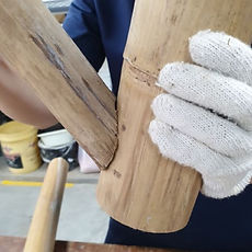 01_Fish Mouth_edited.jpg