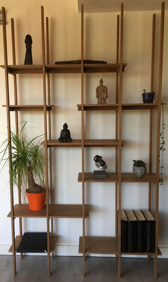 Etagères en bois exotique.JPG