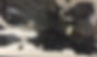 carbon violin.jpg