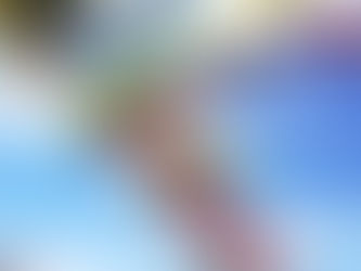 5月のお休み
