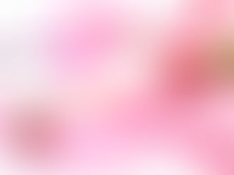 3月のお休み
