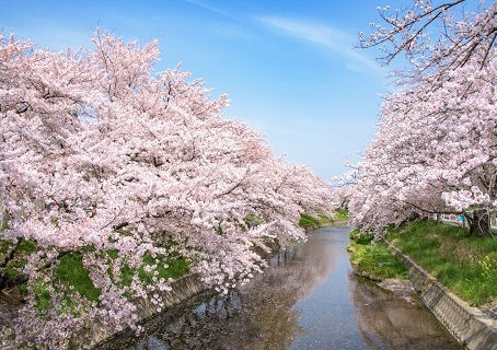 4月のお休み