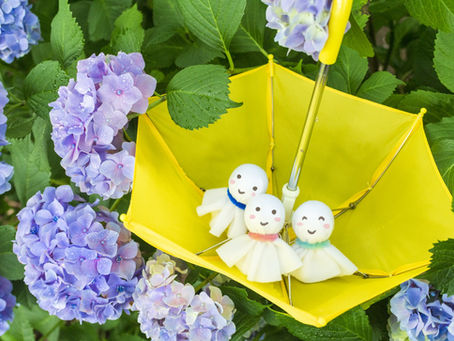 6月のお休み