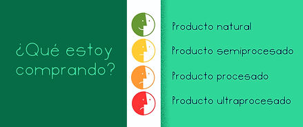 Ilustración_sin_título copia 9 2.jpg