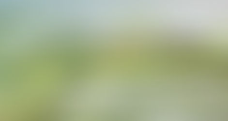 City Council Approves Fulton Grove Development on Parker Lands