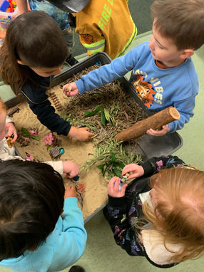 Overhead view of several young children gathered around a large grey sensory bin filled with sand, dry leaves, green branches, pink flowers, and a small wooden log. The children are actively using their hands to explore the natural materials and arrange tiny toy fences to create small play scenes. Showcases indoor nature-based sensory learning at Clementson Drive Early Educational Centre, a childcare facility serving families in Leppington, Kemps Creek, Austral, and Bradfield.