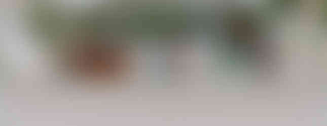 Backyard wedding bar set up to coordinate with blue and white wedding decor