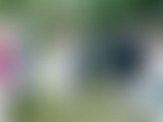 Michigan backyard wedding ceremony with hydrangea lined views and family focused design.