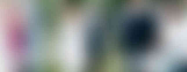 Bride and groom celebrate after getting married in Michigan backyard wedding