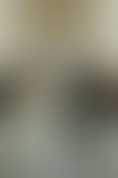 Bride at a classic black and white State Savings Bank wedding in downtown Detroit planned by a Detroit wedding planner.