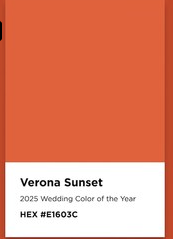 2025 Wedding Trends: Bold, Playful, and Uniquely Yours