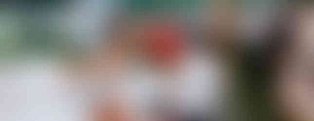 Wedding celebration filled with joy at a Michigan backyard wedding