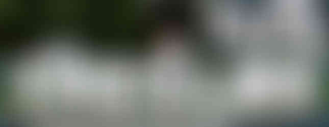 Large letter lights for backyard wedding reception